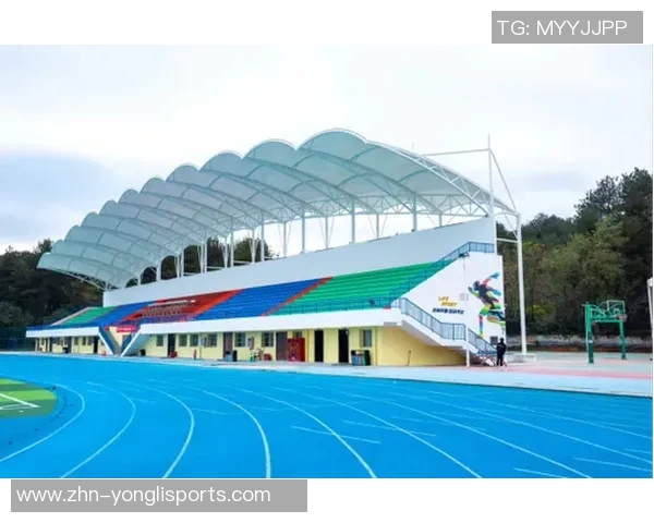 足球场看台上的热情与回忆交织成的青春岁月